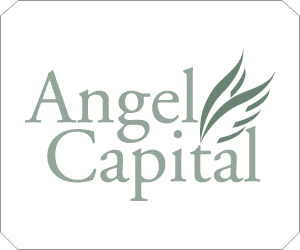 Angel Capital