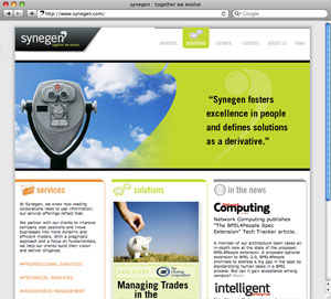 Synegen Consulting